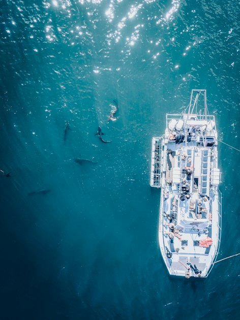 Big Catches Await You